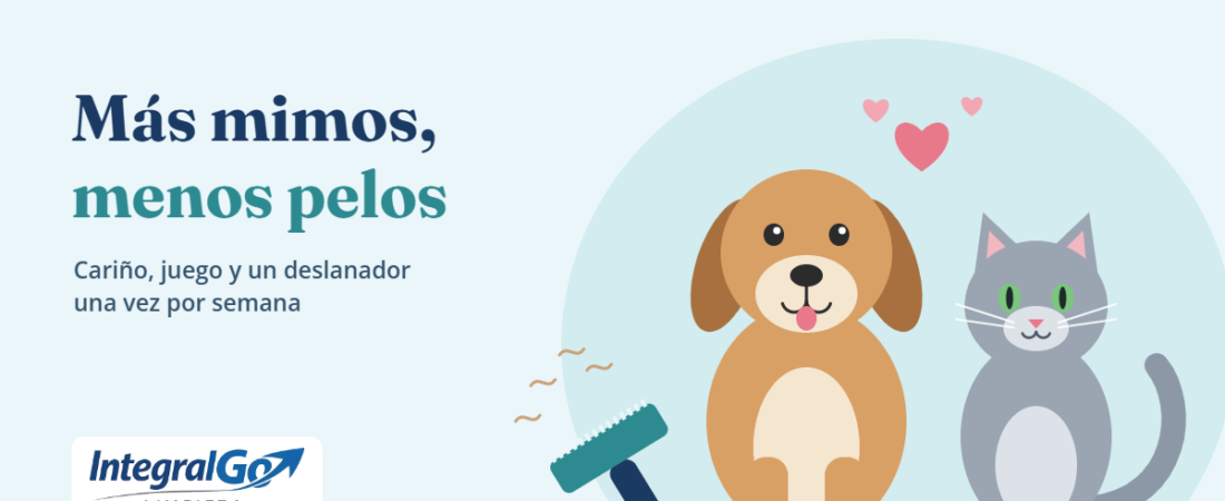 Más mimos, menos pelos: cuidar a tu mascota también es limpiar tu casa
