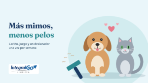 Ilustración de un perro y un gato sentados juntos, con corazones y un deslanador para quitar el pelo muerto