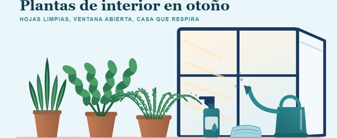 Plantas de interior en otoño: lo que de verdad hacen por el aire de tu casa