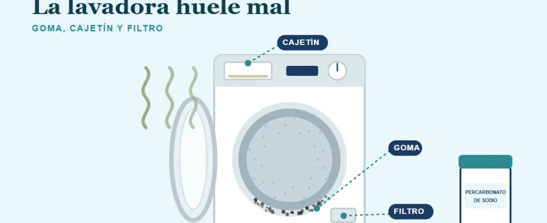 La lavadora huele mal: de dónde sale el olor y cómo quitarlo con lo que tienes en casa